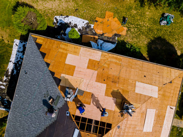 Quick and Trustworthy Emergency Roof Repair Services in Hammond, LA